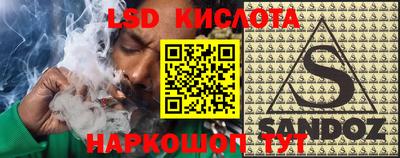 дживик Гай