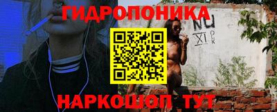 a pvp Гатчина