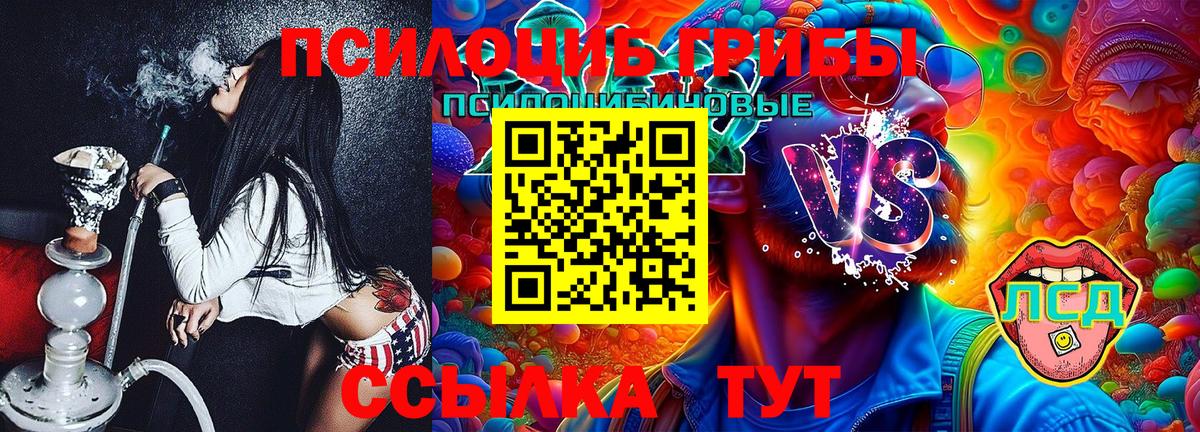 Псилоцибиновые грибы Magic Shrooms  Псилоцибиновые грибы Cubensis  Вход с VPN  сколько стоит  Горно-Алтайск 